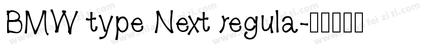 BMW type Next regula字体转换